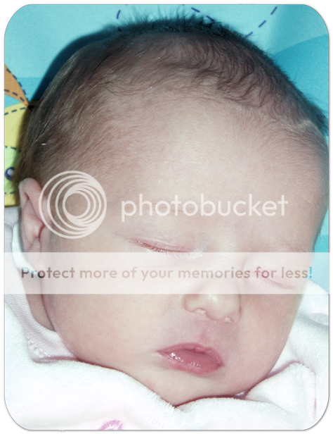 Scarlett Elizabeth Anne