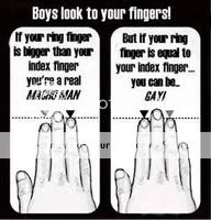 Macho vs Gay