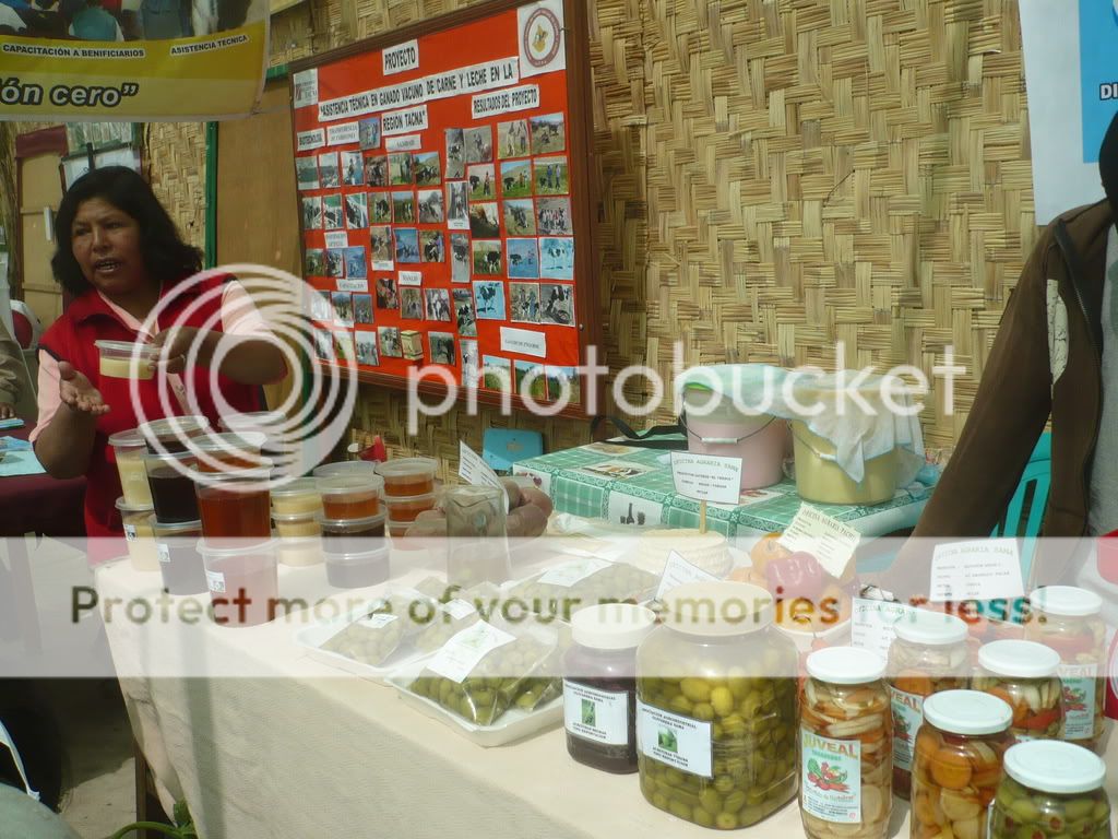 EXPOTACNA
