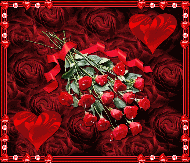 roses Pictures, Images and Photos