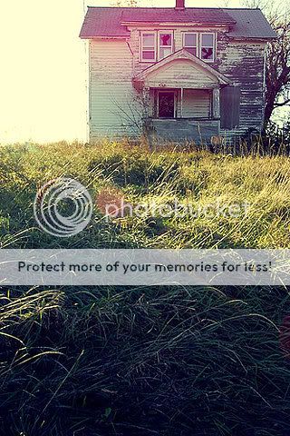 2c805e97a98de4bbb074aa39e938f6cd20c.jpg photography image by G00DBYEBLUES