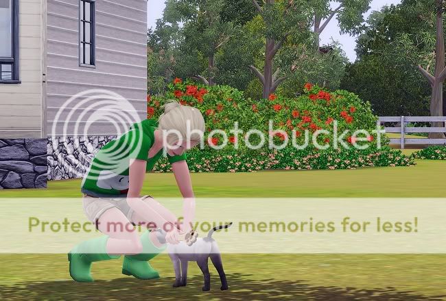 Screenshot-62.jpg