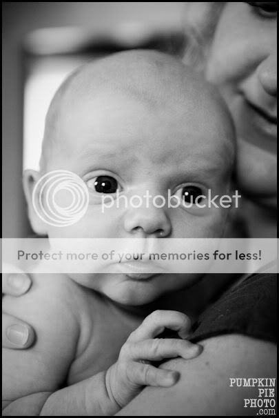 Cobb County family photographer | pumpkin pie photography