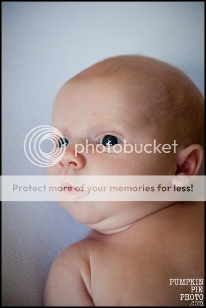 Atlanta family photographer | pumpkin pie photography