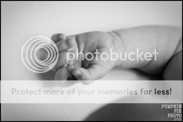 Cobb County family photographer | pumpkin pie photography
