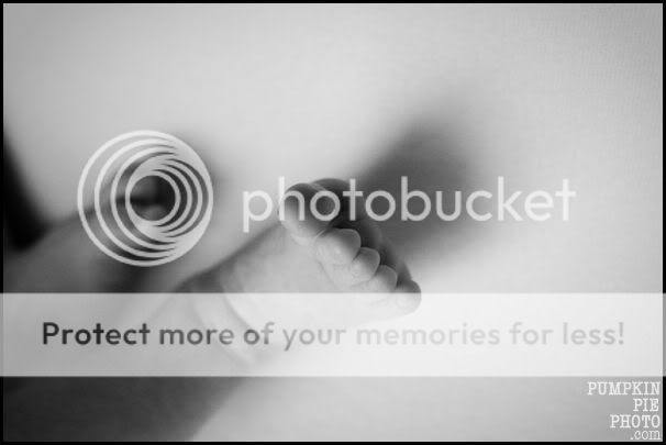 Marietta photographer | pumpkin pie photography