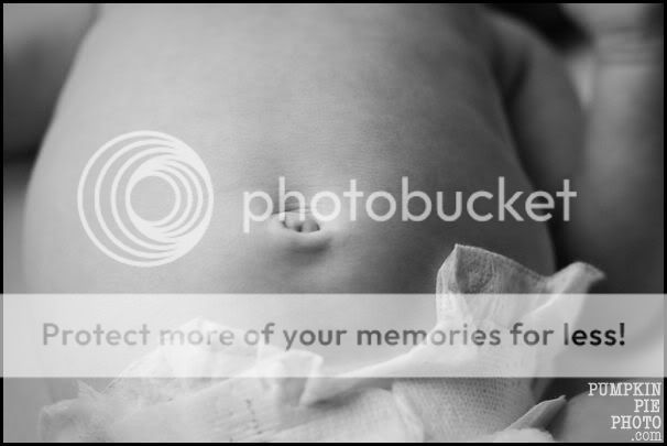 Marietta photography | pumpkin pie photography