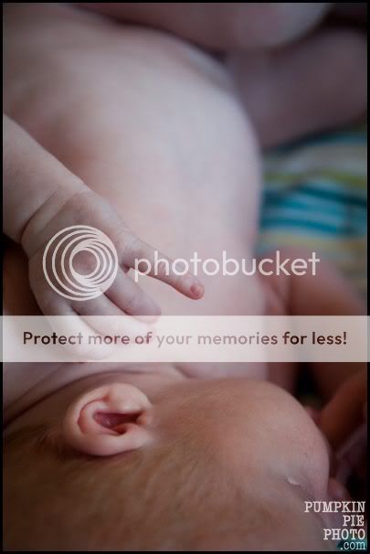 Marietta family photographer | pumpkin pie photography