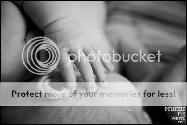 Marietta family photographer | pumpkin pie photography