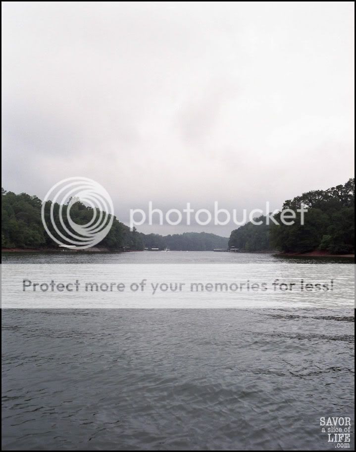 lake on film