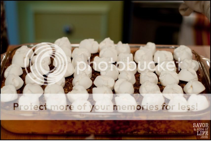 savor a slice of life