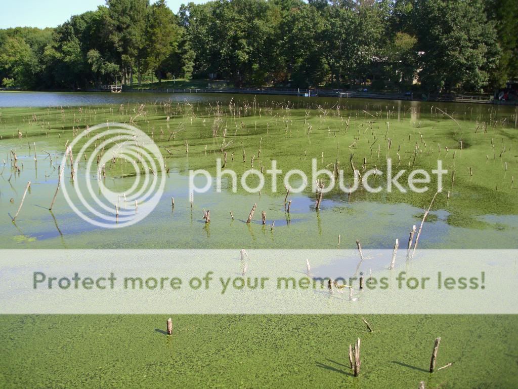 Alloway lake BASS BARN
